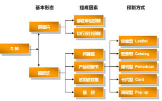 中研普華市場(chǎng)營(yíng)銷策劃服務(wù)流程 從策略到執(zhí)行的完整方案